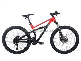 Polygon Siskiu D5 27.5