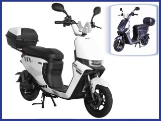 United Rugen N1 10