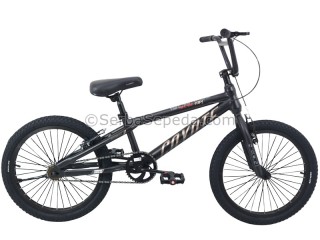 Coyote Neon 200V 20