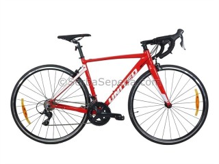 United Vitessa 1.00 700C 2022