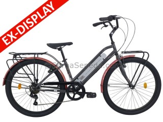 Cuci Gudang Element Bergamont 26