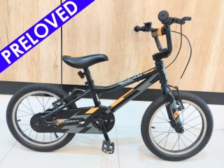 Preloved Polygon Champ 16