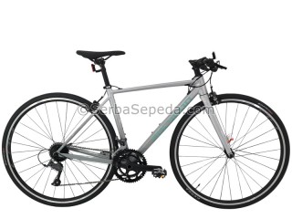Polygon Strattos F2 700C
